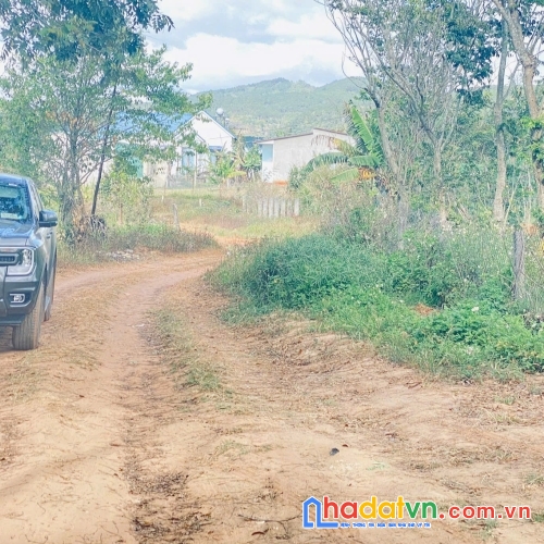 Bán 4 sào phú hội pre, đức trọng, lâm đồng, nhà c4, điện nước đầy đủ