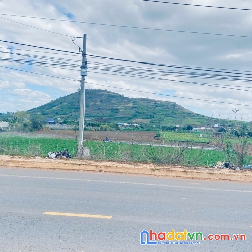 3 héc ta mặt tiền dt724, phú hội cũ, đức trọng, lâm đồng