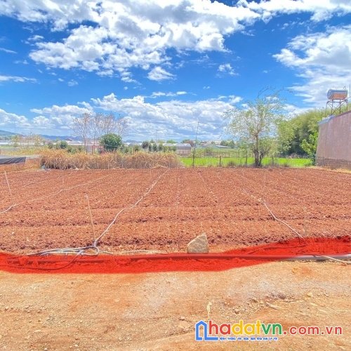 Đất hẻm gần cafe ngọc ngân bên sông, trung tâm đức trọng, lâm đồng