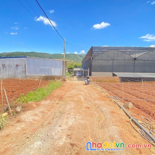 Đất hẻm gần cafe ngọc ngân bên sông, trung tâm đức trọng, lâm đồng