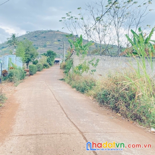 Đất khu dân cư, hẻm dt724 tân hội, đức trọng cũ, lâm đồng