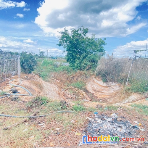 Đất khu dân cư, hẻm dt724 tân hội, đức trọng cũ, lâm đồng