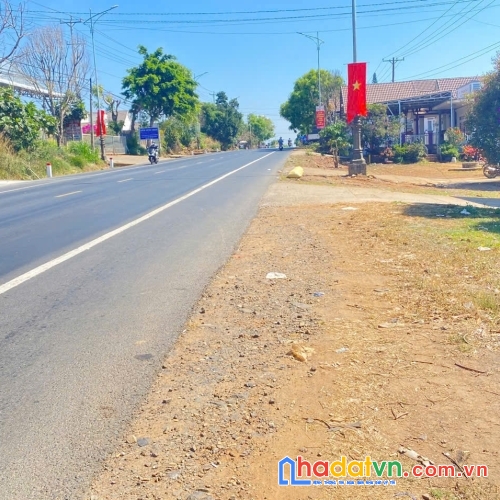 Bán 1.851m2 đất mặt tiền quốc lộ 20, phú hội cũ, đức trọng, lâm đồng