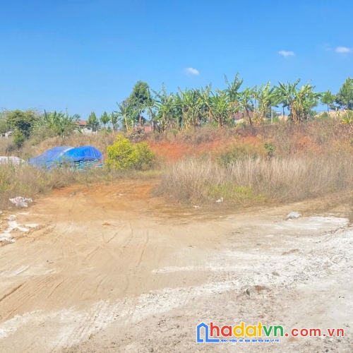 Bán 1.851m2 đất mặt tiền quốc lộ 20, phú hội cũ, đức trọng, lâm đồng