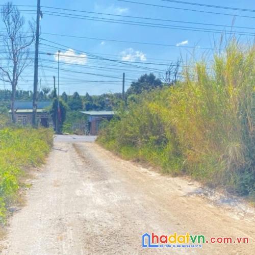 Bán 1.851m2 đất mặt tiền quốc lộ 20, phú hội cũ, đức trọng, lâm đồng
