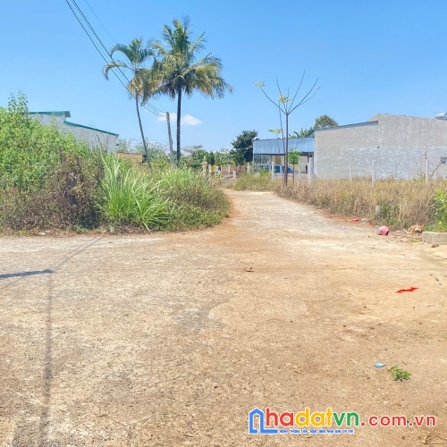 Đất hẻm phân lô phú hội cũ, đức trọng, lâm đồng bao sổ