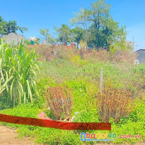 Đất hẻm phân lô phú hội cũ, đức trọng, lâm đồng bao sổ