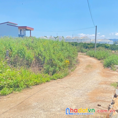 Đất hẻm phân lô phú hội cũ, đức trọng, lâm đồng bao sổ