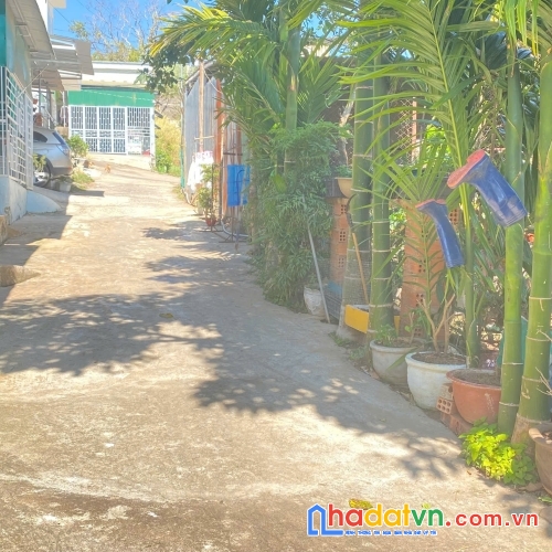 Đất phân lô trung tâm đức trọng, lâm đồng giá rẻ 790 triệu