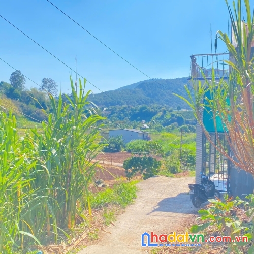 Đất phân lô trung tâm đức trọng, lâm đồng giá rẻ 790 triệu