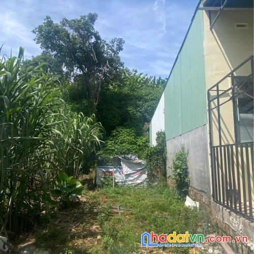 Đất phân lô trung tâm đức trọng, lâm đồng giá rẻ 790 triệu