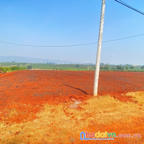 3,6 sào hẻm dh1, tân hội, đức trọng cũ, lâm đồng
