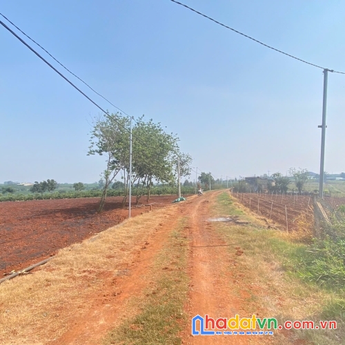 3,6 sào hẻm dh1, tân hội, đức trọng cũ, lâm đồng