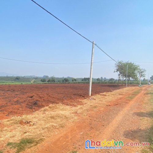 3,6 sào hẻm dh1, tân hội, đức trọng cũ, lâm đồng