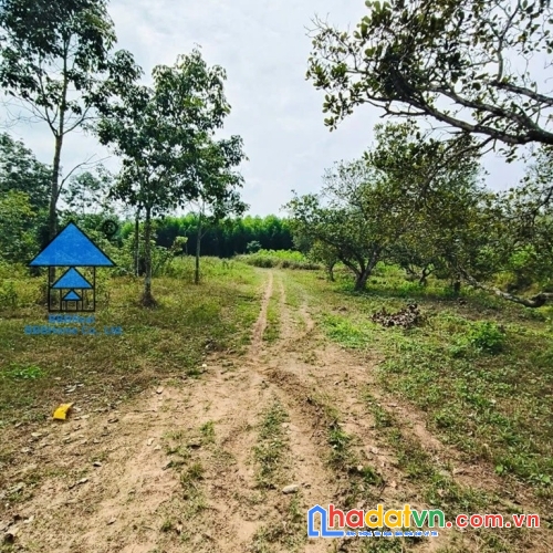 Bán đất xã hòa hội tp hồ chí minh giá rất tốt b1561