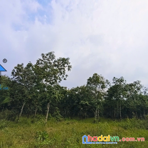 Bán đất xã hòa hội tp hồ chí minh giá rất tốt b1561