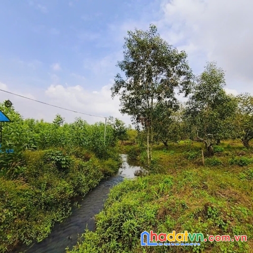 Bán đất xã hòa hội tp hồ chí minh giá rất tốt b1561