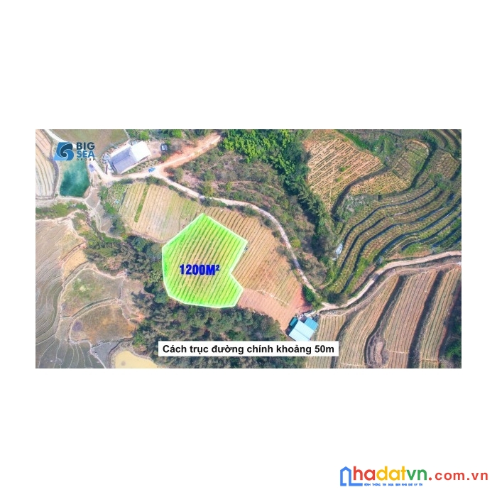 Tả phìn  “ mỏ vàng “ của  bđs sapa, bán 1200m làm homestay view cực đẹp.