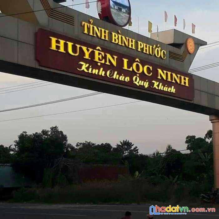 Đất sào sổ hồng sẵn,pháp lý đầy đủ,bao test quy hoạch