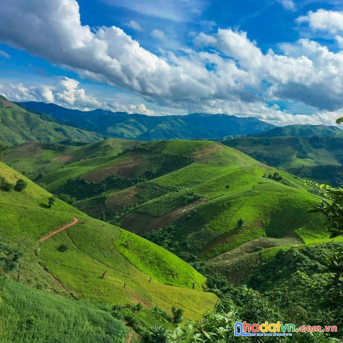 Bán gấp lô đất giá ngộp full thổ cư, lấy tiền lo công việc