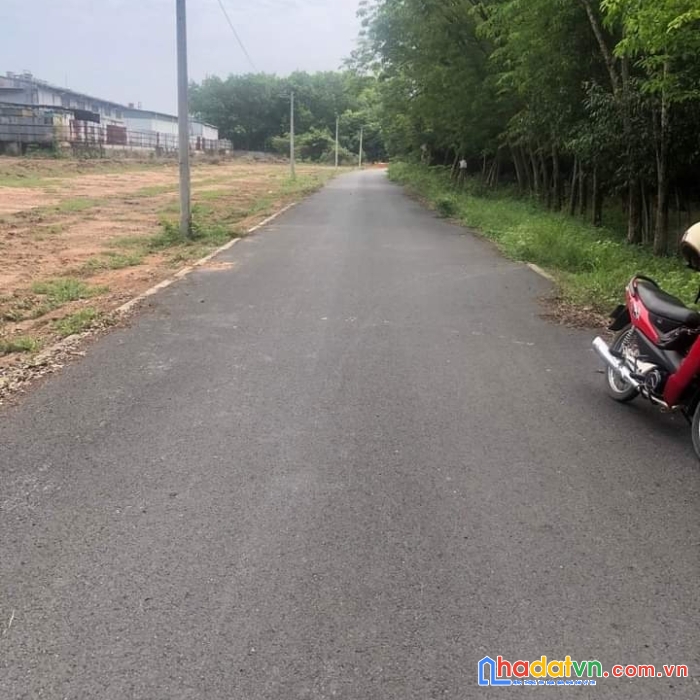 Giá 5xx – diện tích 15x24m có thổ cư 100m