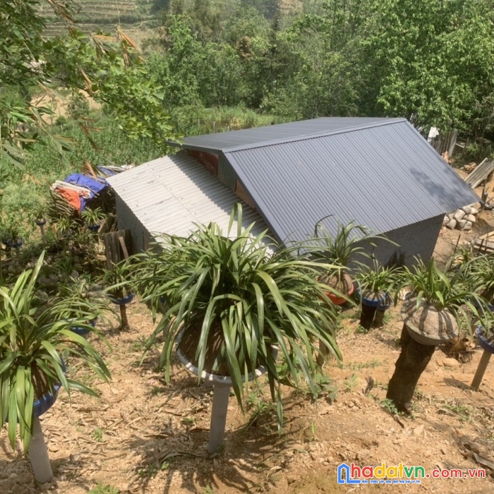 Bán đấy tả phìn, giá chỉ từ 2tr/m2 - thời cơ vàng đầu tư sinh lời lớn