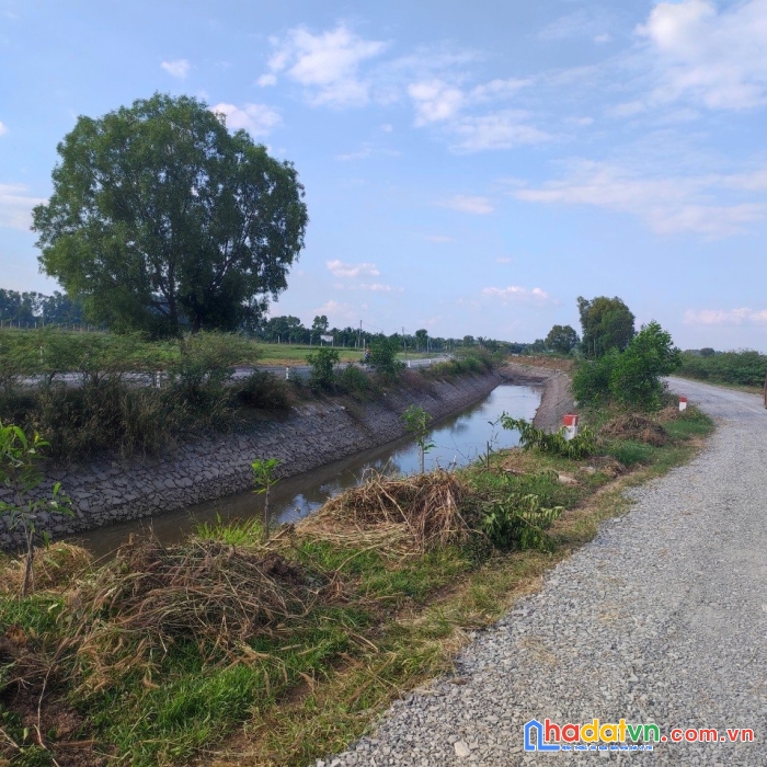 Đất củ chi giá đầu tư. diện tích từ 1.000m2 giá từ 1,7tr/m2.