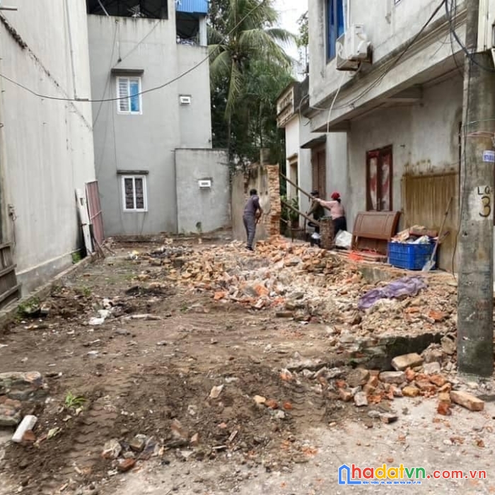 Anh chủ em cần vốn nhập lô to nên bán rẻ 1 lô duy nhất tại bìa bắc lương quy 