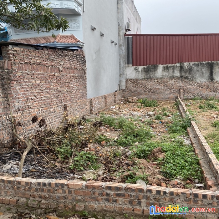 Chính chủ em cần bán 59.1m2 tại thôn tuyền - đông xuân - sóc sơn đường ô tô ngõ thông 