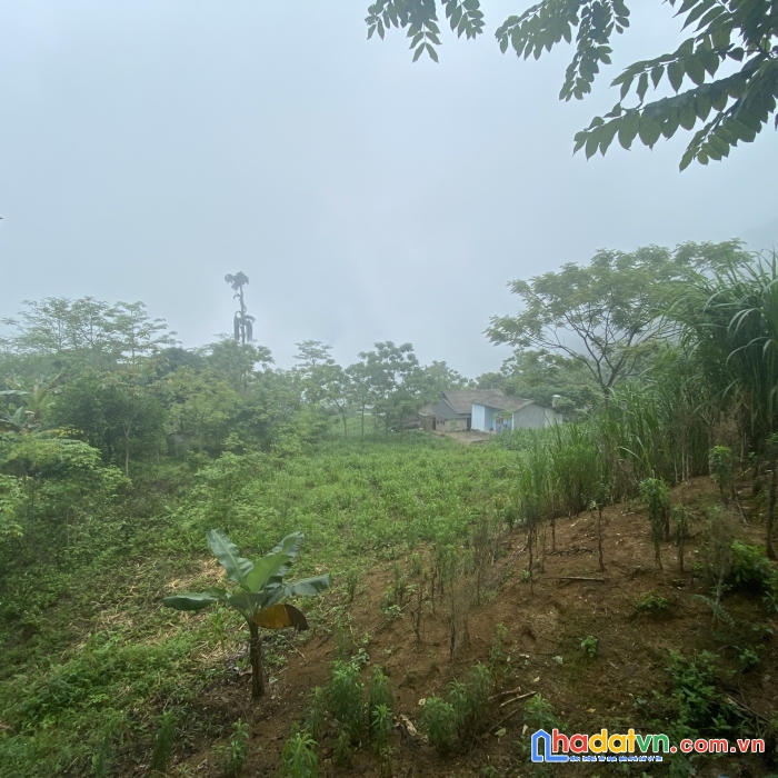 Đất nền hà giang nằm trên trục chính ql 4c giá chỉ vài trăm triệu
