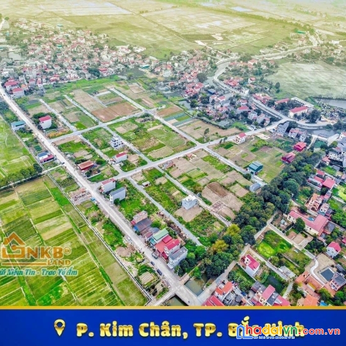 Ra hàng 5 lô ngoại giao kim đôi - kim chân giá đầu tư