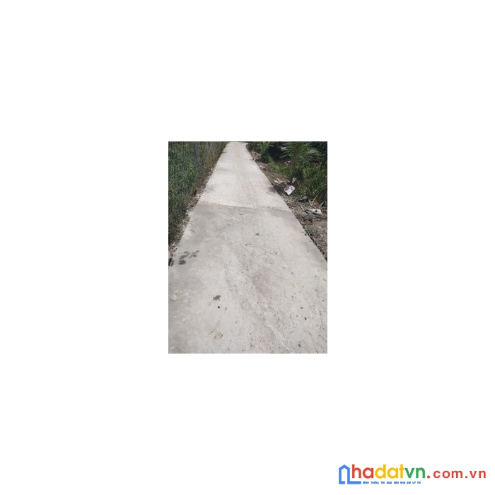 Chính chủ cần bán 1000m2 đất vườn bưởi vị trí đẹp tại bến tre