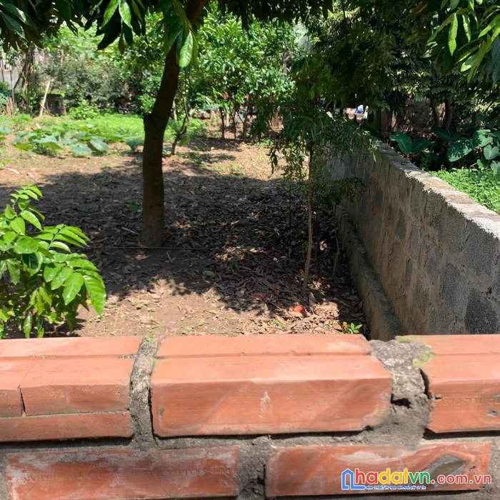 Đất đông mỹ ,dt:45m2 oto tránh giá 1.65tỷ 
đất thôn 4 , đông