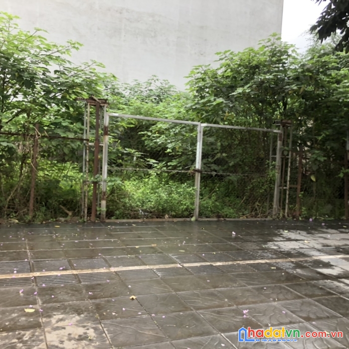 Bán đất mặt phố việt hưng lô góc, ô tô, kd, dt 300 m2, mt 12 m, giá nhỉnh 60 tỷ.