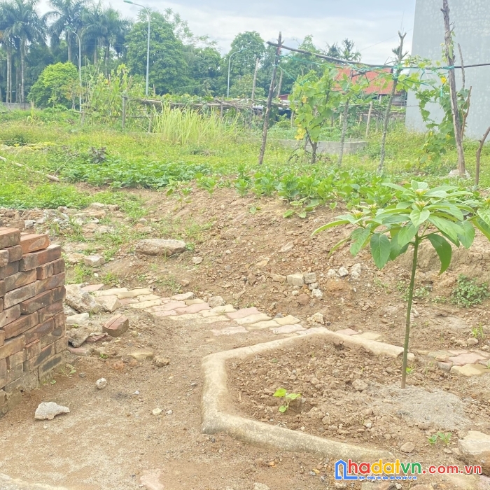 Dự án dân cư thịnh lang sao vàng cũ giá siêu đầu tư