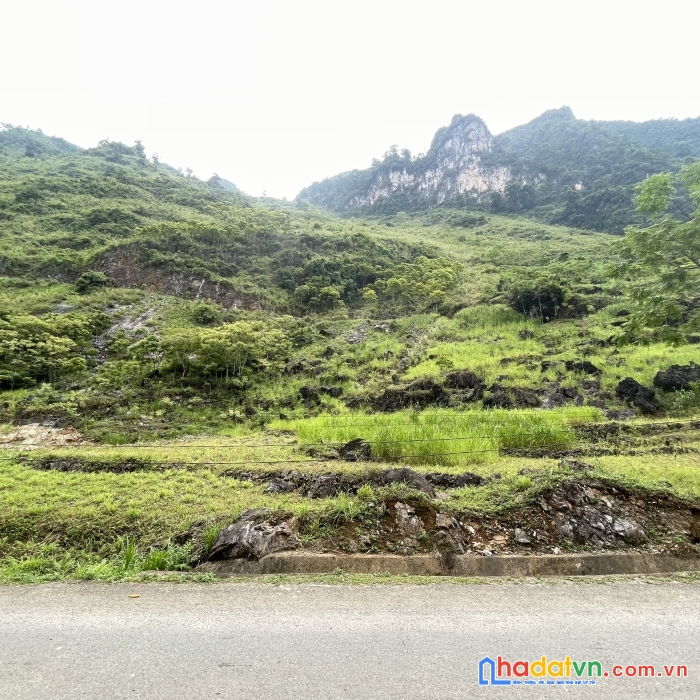Bán đất quản bạ, hà giang - quy hoạch trung tâm du lịch, khu vui chơi giải trí. view đẹp.