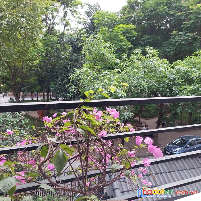 Cần bán sớm nhà biệt thự lô góc phố nguyễn cơ thạch, mỹ đình 160m, mt 18m.