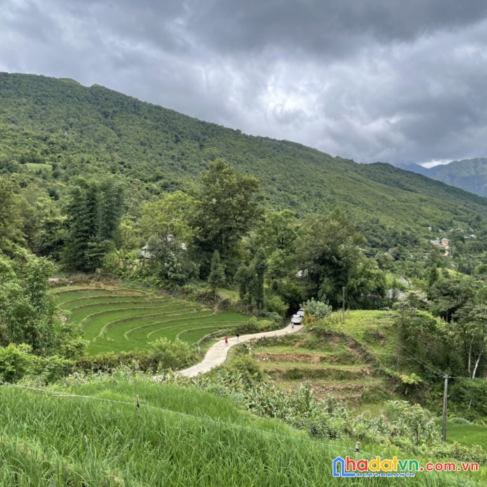 Bán mảnh đất tại y tý, lào cai diện tích 1985m2 giá 1 triệu/m2 view săn mây, chính chủ em lan