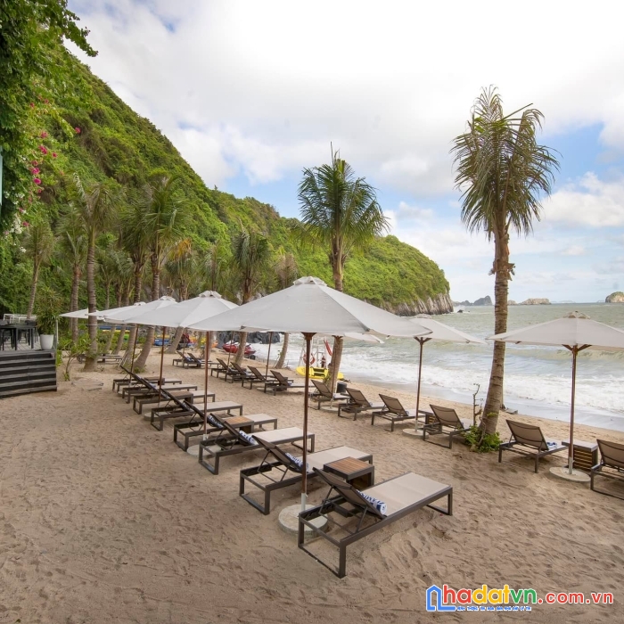 Vốn đầu tư  700tr ( 15%) . căn hộ nghỉ dưỡng flamingo  mặt vịnh  lan hạ , cát bà , hải phòng.