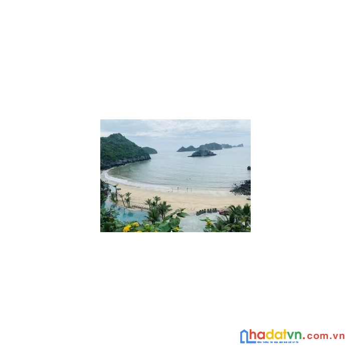 Mở bán đợt cuối - siêu phẩm căn hộ dinh thự mặt biển  flamingo cát bà, hải phòng !!!