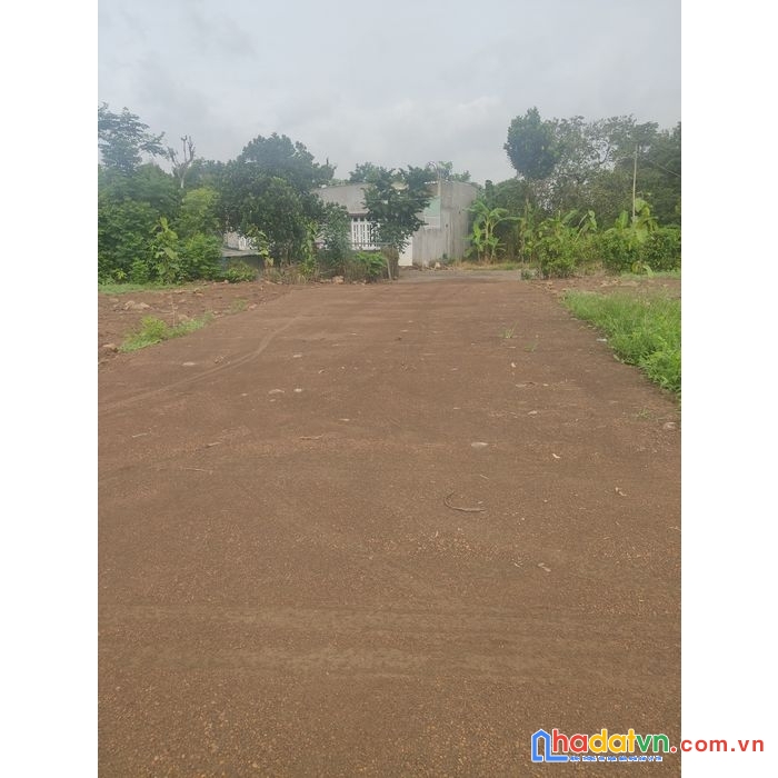 Bà chị bỏ chồg bán đất ngay trường cấp 1, mặt tiền đường dt769 150m