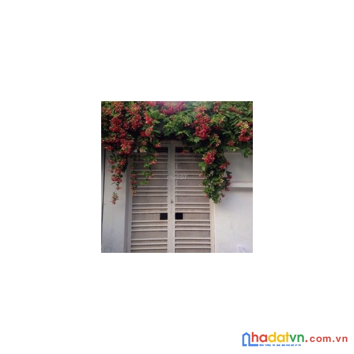 Cần bán gấp căn nhà vị trí đẹp tại xã nhơn đức, huyện nhà bè