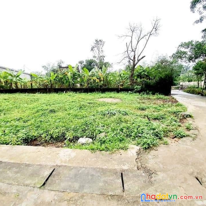 650 triệu sở hữu ngay lô đất đẹp quảng phú, quảng điền, thừa thiên huế