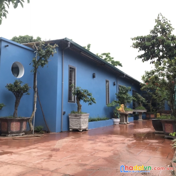 Bán nhà vườn đông la, hoài đức rộng 246m2 full nội thất