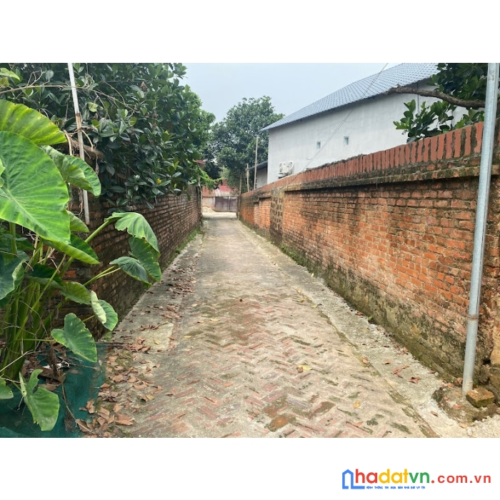 Anh chủ cần tiền nên  bán 60m2 tại vụ bản - minh trí - sóc sơn - hà nội, đường 3m ngõ thông.
