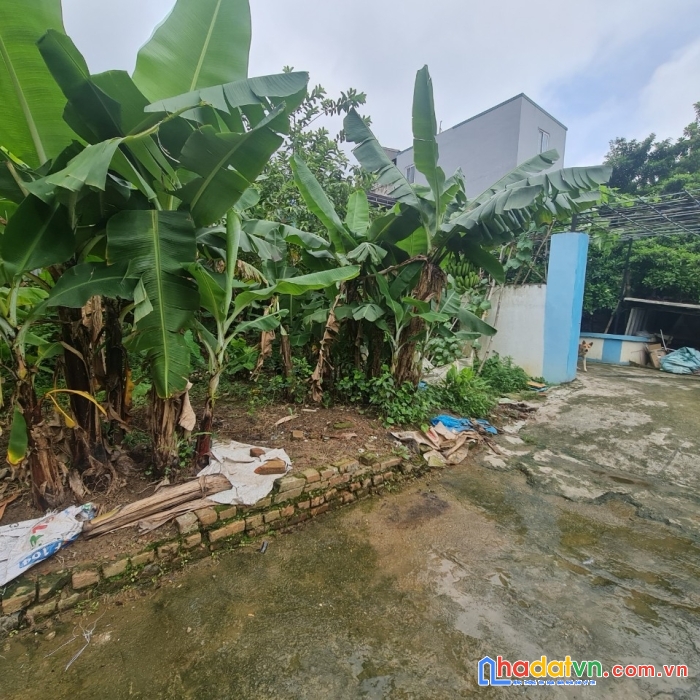 Đất vàng nghĩa lại uy nỗ đông anh hà nội . 110m2 mt-9m chia lô cực đẹp . lh 0345648888