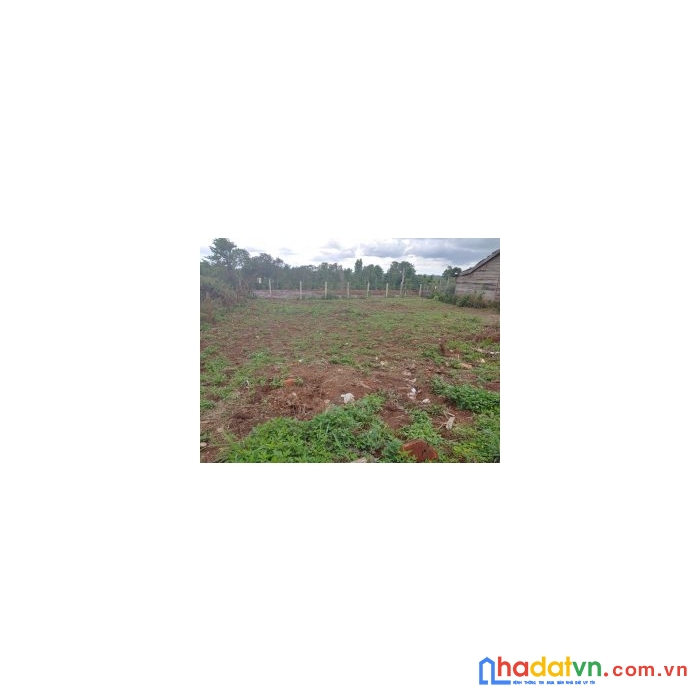 Cần bán 2 lô đất liền kề trung tâm xã ea kiết , đăk lăk