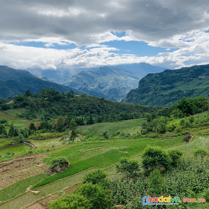 Đất nền y tý- vị trí đắc địa. chỉ từ 2tr/m2.