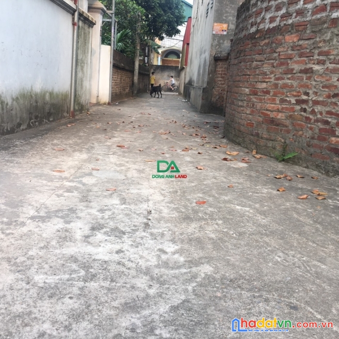 Bán đất bắc hồng đông anh  chỉnh nhỉnh 1 tỉ oto đỗ cửa 

.