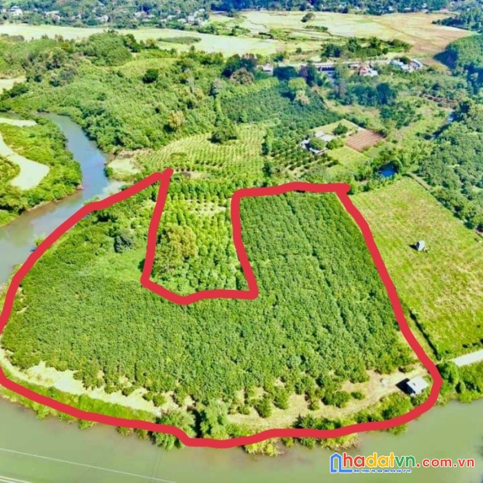 Chính chủ cần tiền bán gấp lô đất 8712m2 view sông bưởi tại tân lạc - hòa bình